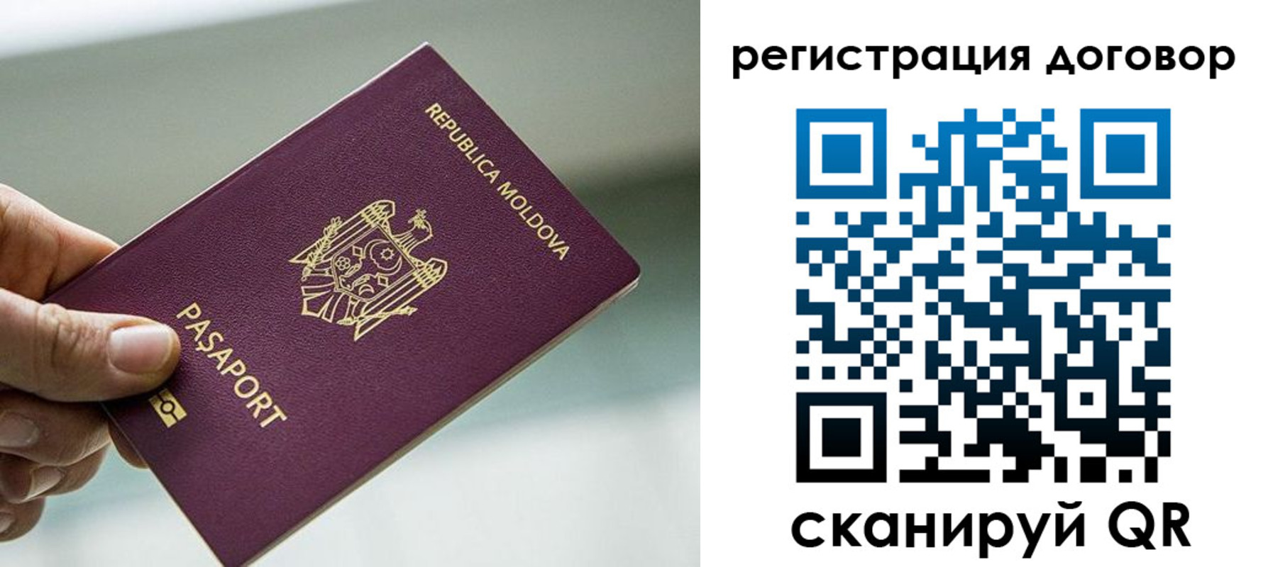 прописка в квартире в Новопавловске